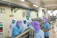 Inspektur Mutu KKP (berseragam putih) dari Balai PPMHKP Medan melaksanakan surveilan penerapan HACCP (standar sanitasi, higiene dan keamanan pangan) di salah satu UPI di Kota Medan untuk pastikan produk perikanan sehat, bermutu dan aman konsumsi menghadapi lonjakan permintaan jelang Bulan Ramadhan (dok. BPPMHKP/Kementerian Kelautan dan Perikanan).