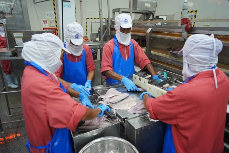 Caption foto:

Proses pengolahan ikan di salah satu Unit Pengolahan Ikan (UPI) fillet ikan yang produknya diekspor ke luar negeri.