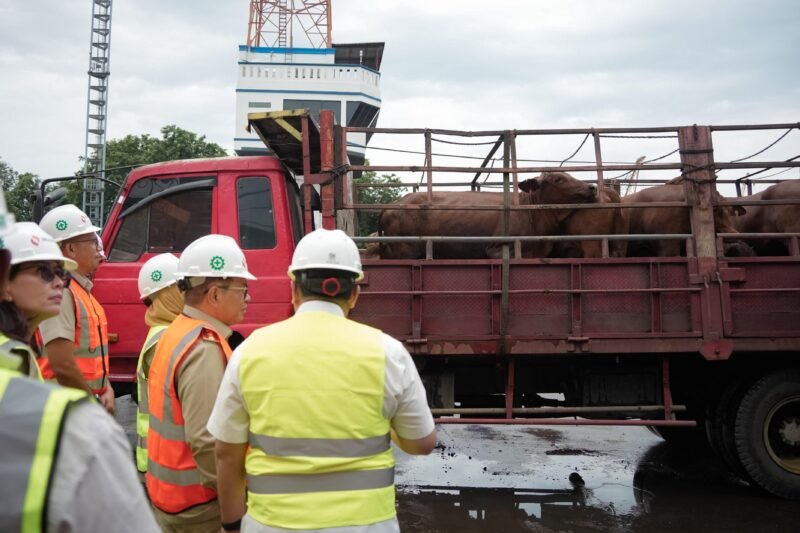 Gubernur DKI Jakarta, Pramono Anung saat meninjau kedatangan sapi impor asal Australia di Dermaga 101 Pelabuhan Tanjung Priok, Jakarta Utara, pada Senin (23/2/2026). (Foto: Humas Pemprov DKI)