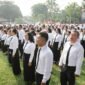 <p>Pramono Upayakan tak Ada PHK PPPK di Pemprov DKI</p>