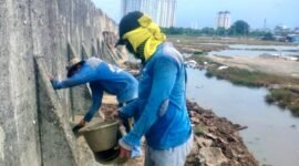 <p>Pemerintah Kota (Pemkot) Jakarta Utara bergerak cepat mengantisipasi ancaman banjir rob dan genangan di sejumlah wilayah pesisir. </p>