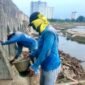 <p>Pemerintah Kota (Pemkot) Jakarta Utara bergerak cepat mengantisipasi ancaman banjir rob dan genangan di sejumlah wilayah pesisir. </p>