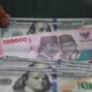 Karyawan merapihkan uang dolar AS dan rupiah di salah satu tempat penukaran uang di Jakarta.
