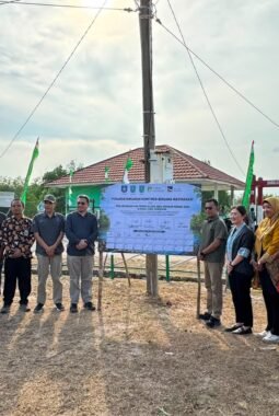 KKP Dukung Pemanfaatan Ruang Laut untuk Lindungi Mangrove & Populasi Kerang Dara di Belitung